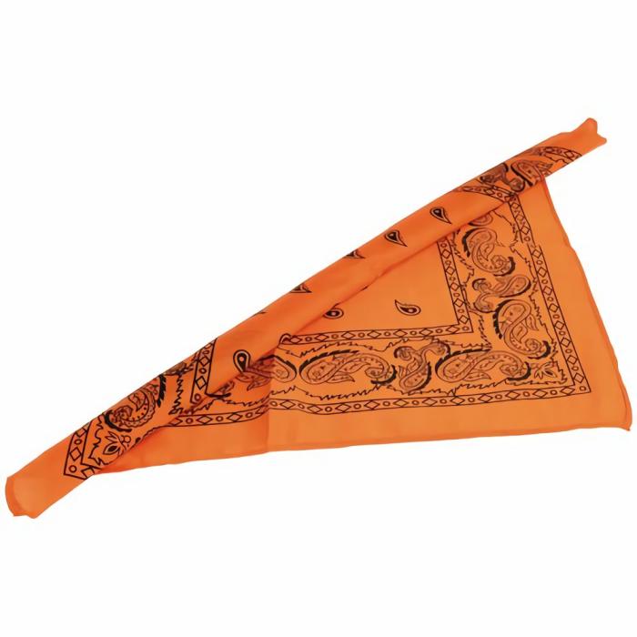 Art |   Bandanas/Orange