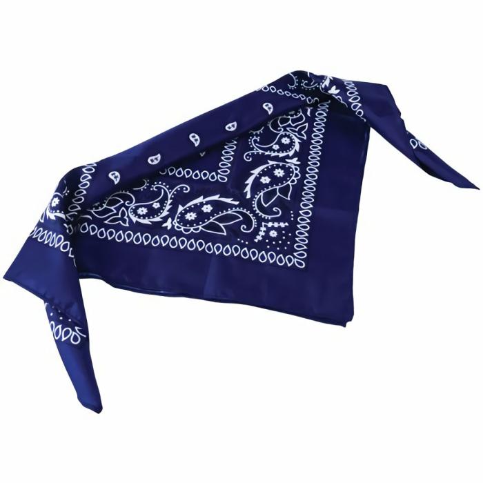 Art |   Blue Bandanas