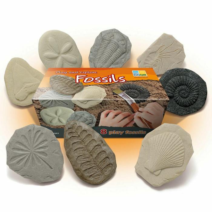 Earth And Space |   Let’S Investigate Fossils Discovery Kit