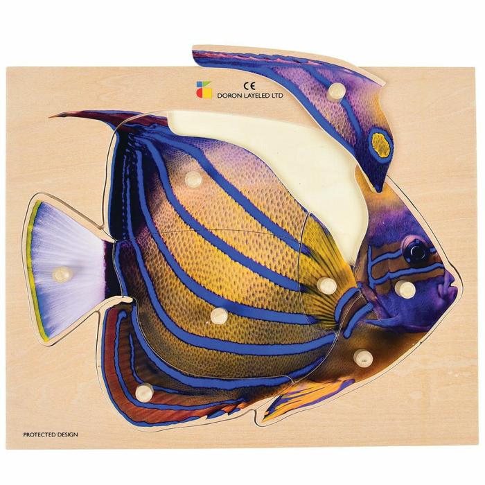 Fine Motor |   Tropical Fish Large Knobbed Puzzle