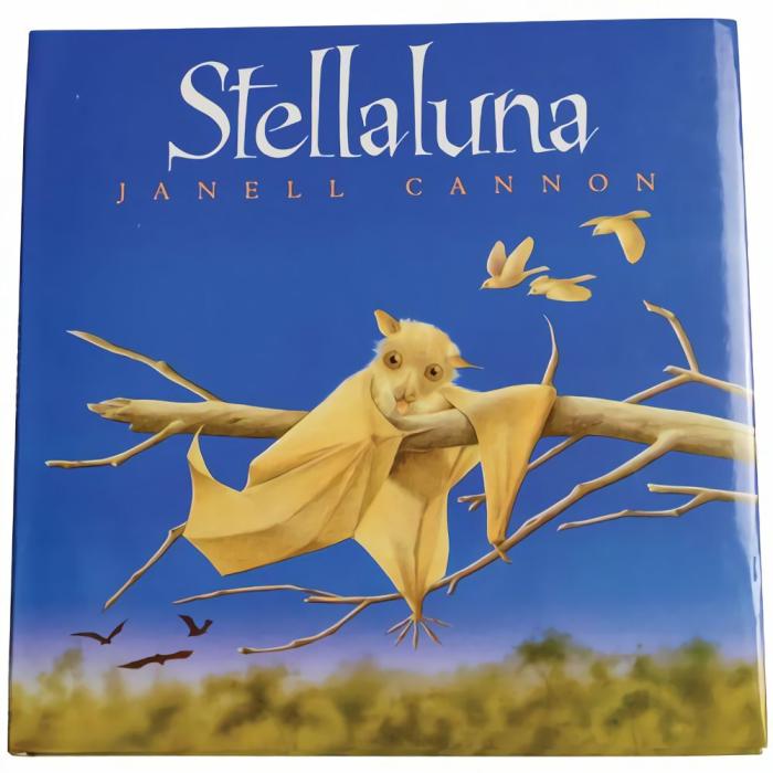 Literacy |   Classic Library – Stellaluna Book