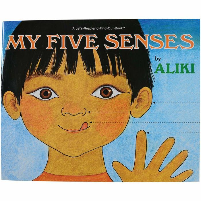 Literacy |   Look And Learn Big Book-My Five Senses Big Book