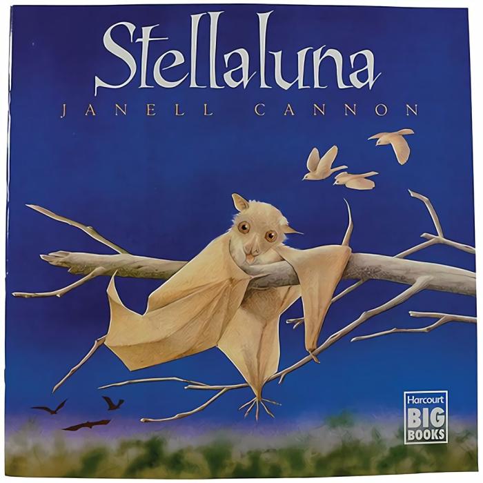 Literacy |   Treasured Tales Big Books-Stellaluna