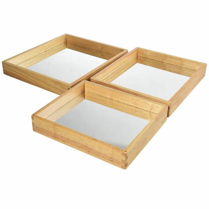 Manipulatives |   Reflective Observation Trays