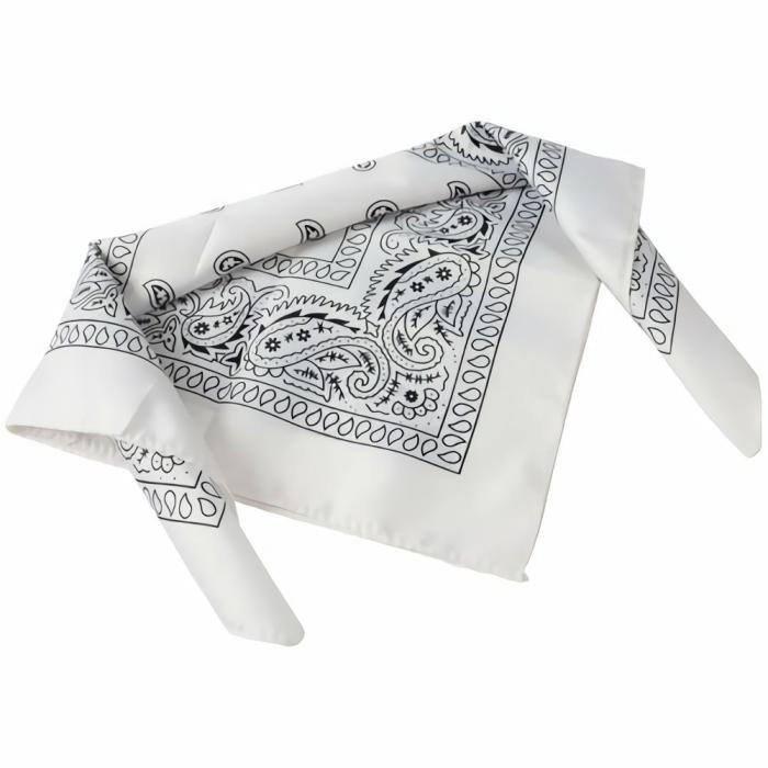 Art |   Bandanas/White