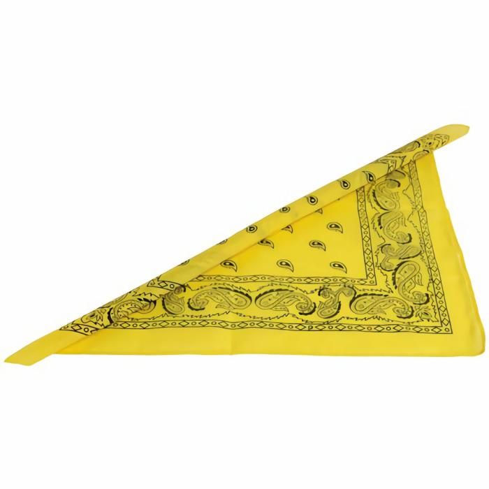 Art |   Bandanas/Yellow