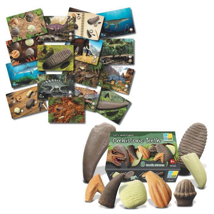 Sensory And Water Accessories |   Prehistoric Teeth Exploration Set